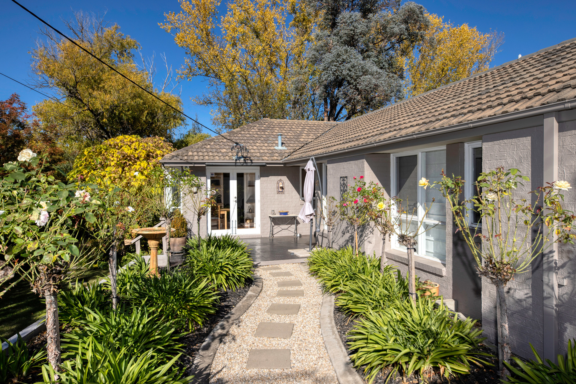 47 Allan Street, Curtin ACT 2605, Curtin - Thumbnail 3