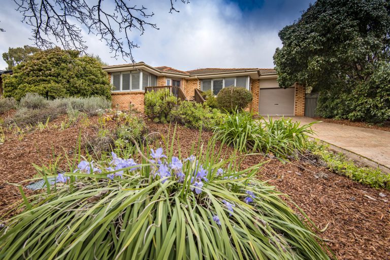 Preview image for Buy