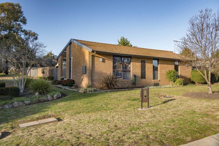 Preview image for Buy