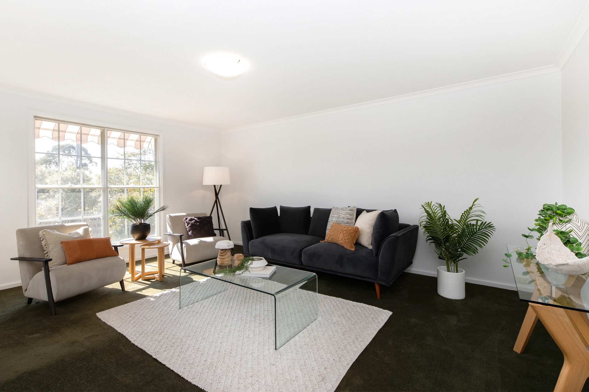 16 Darke Street, Torrens ACT 2607, Torrens - Thumbnail 4