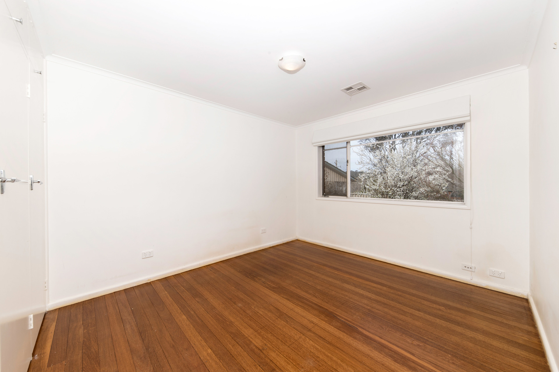 6 Gillies Street, Curtin ACT 2605, Curtin - Thumbnail 7