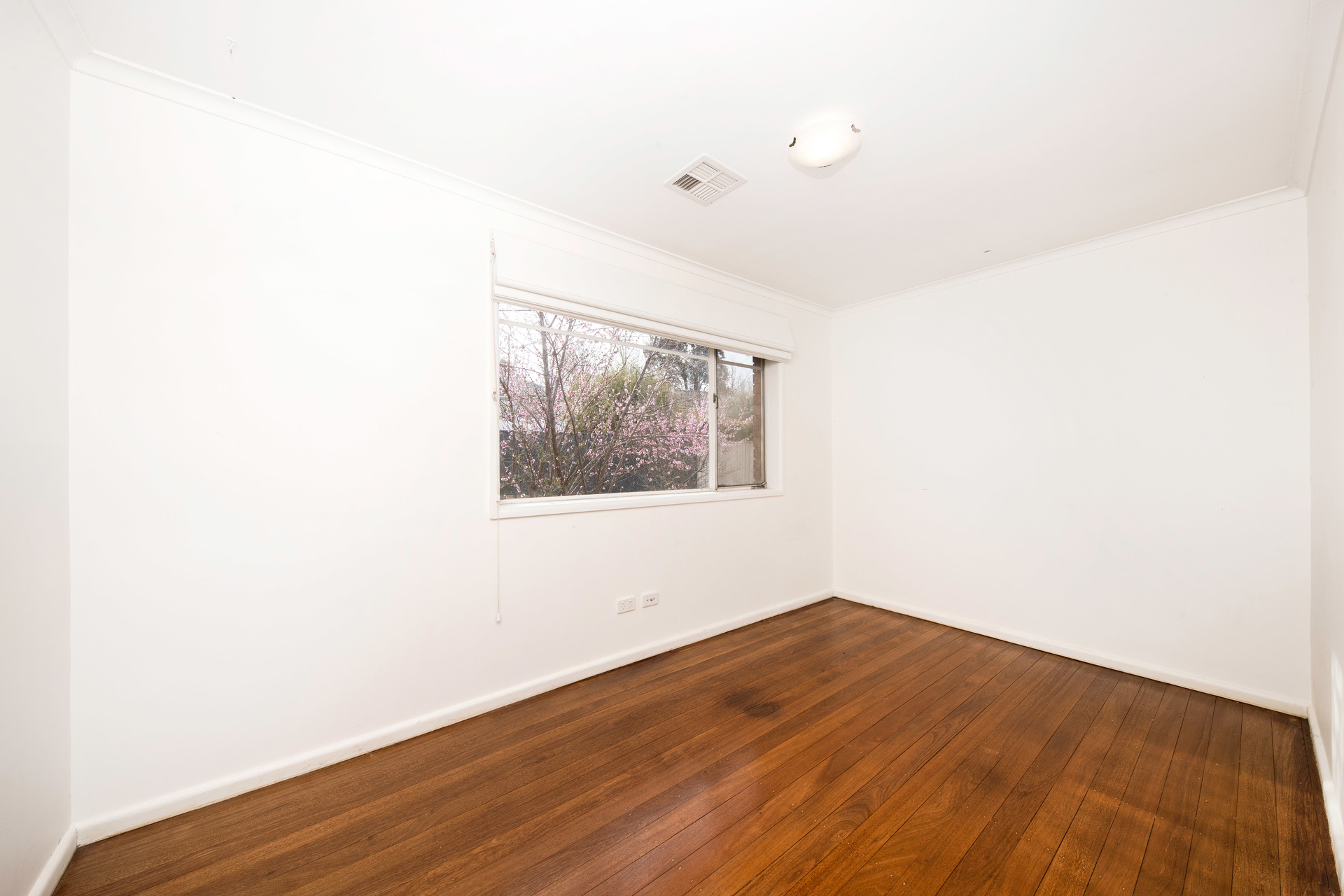 6 Gillies Street, Curtin ACT 2605, Curtin - Thumbnail 8