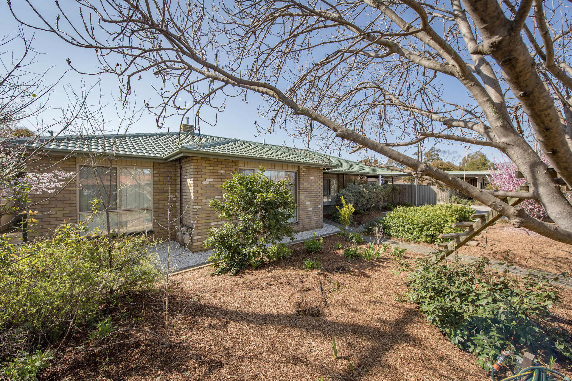 19 Forwood Street, Monash ACT 2904, Monash - Thumbnail 2