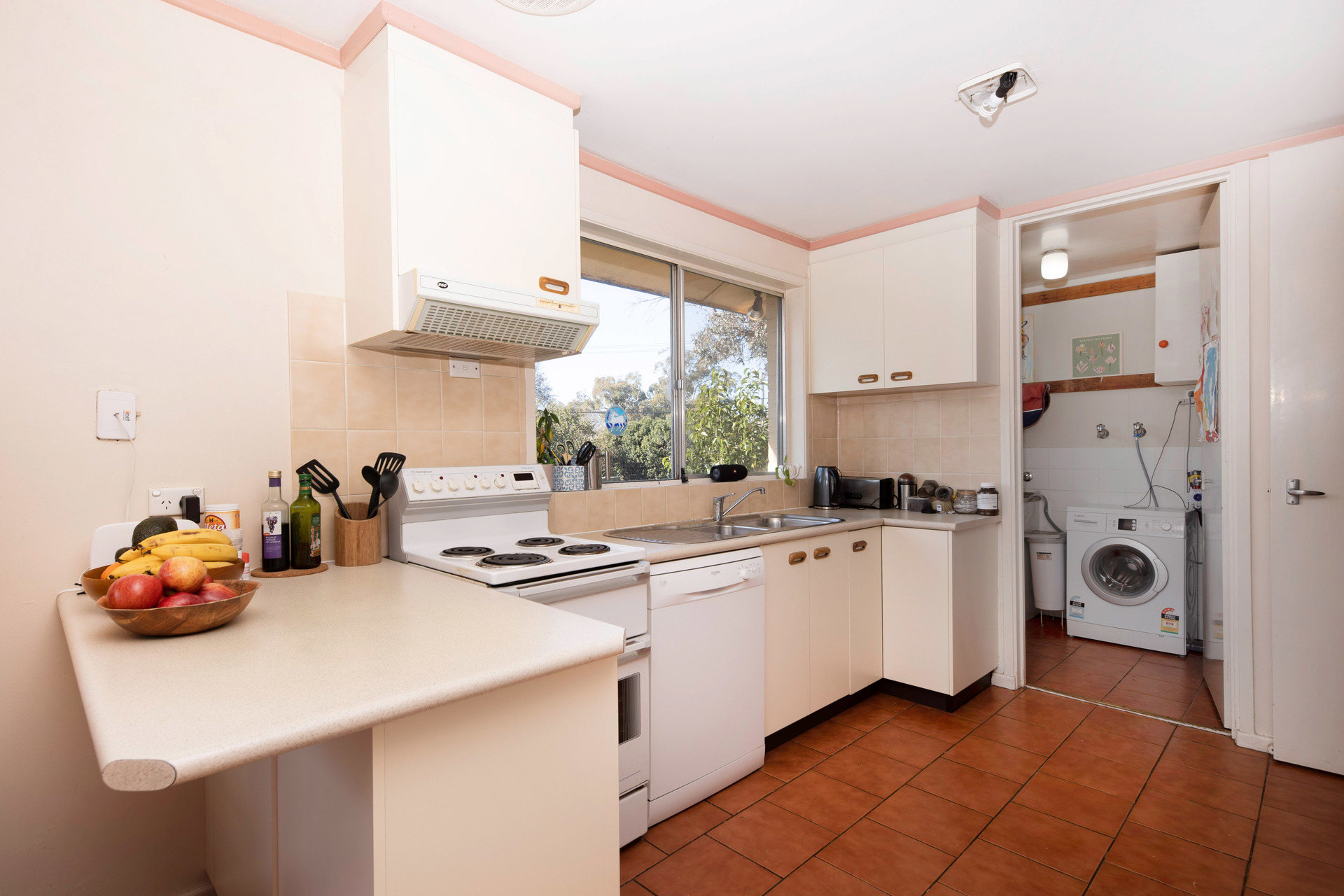 12 Jenkins Street, Curtin ACT 2605, Curtin - Thumbnail 6