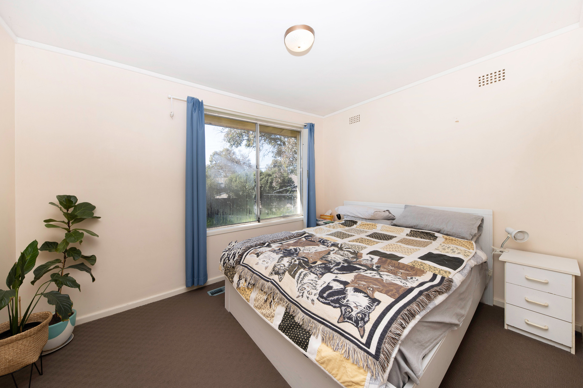 12 Jenkins Street, Curtin ACT 2605, Curtin - Thumbnail 8