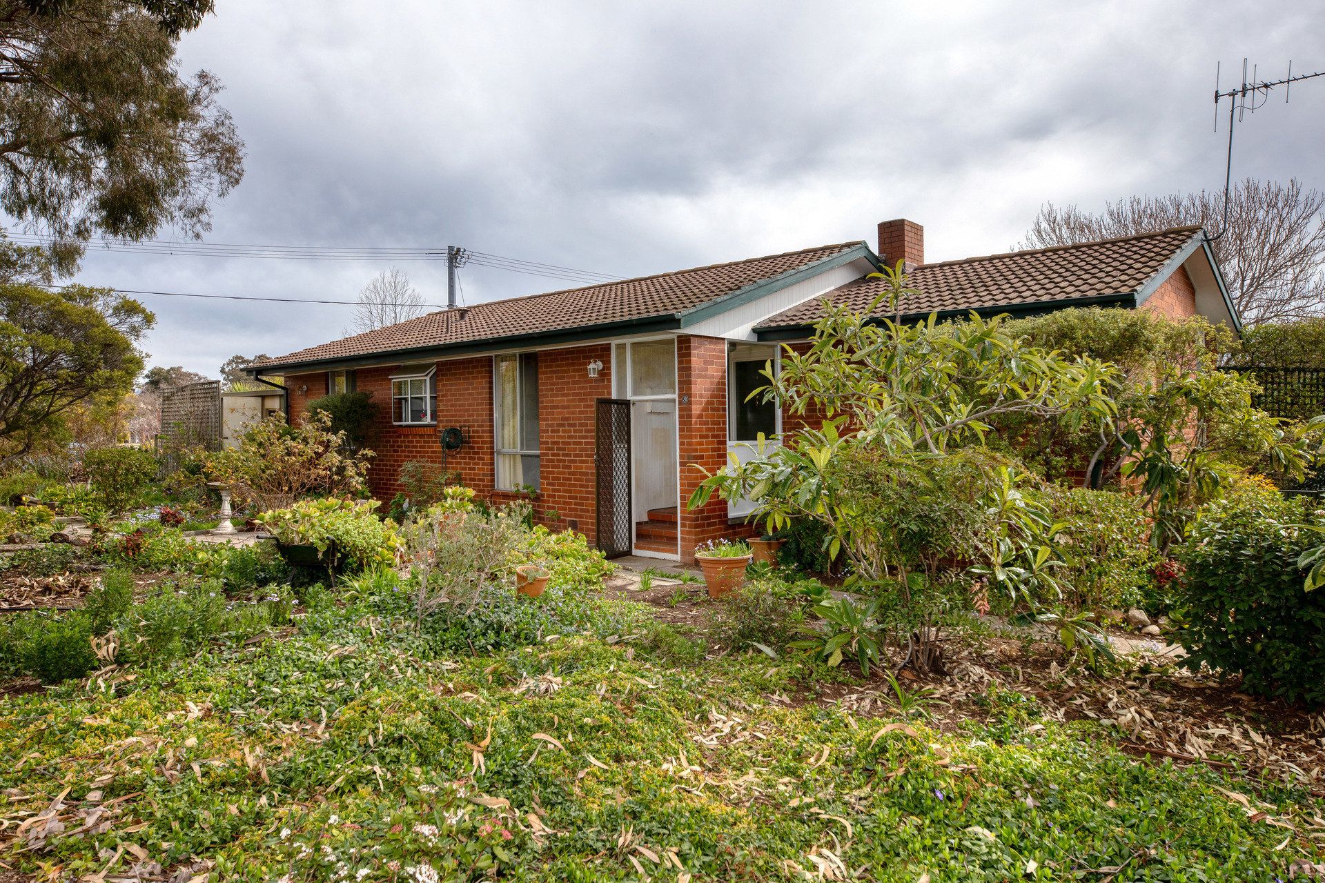 20 Embley Street, Holder ACT 2611, Holder - Thumbnail 2