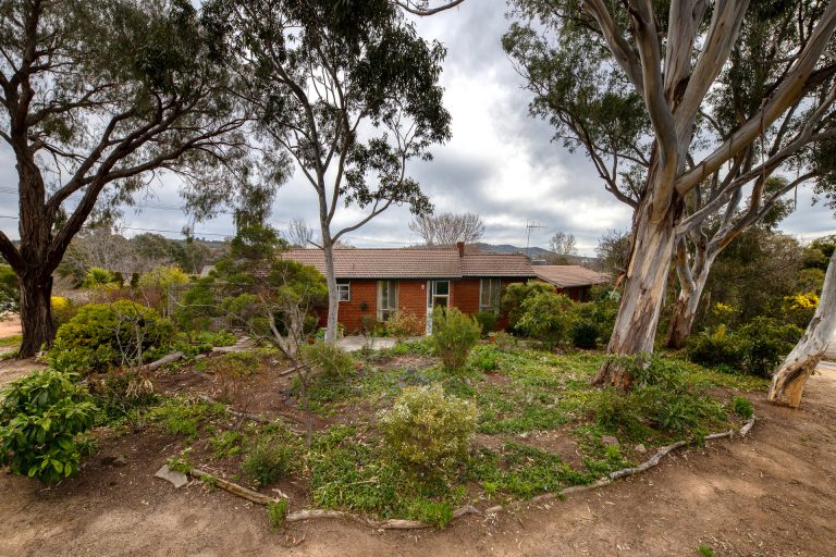 Preview image for Buy