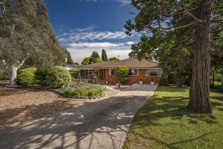 Preview image for Buy