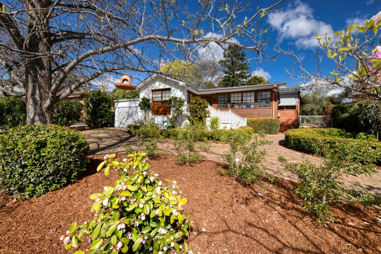 Preview image for Buy