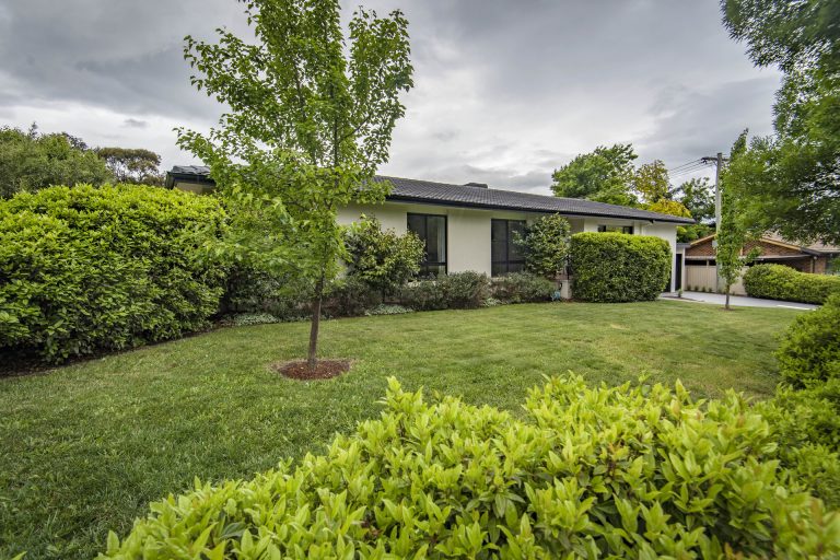 Preview image for Buy