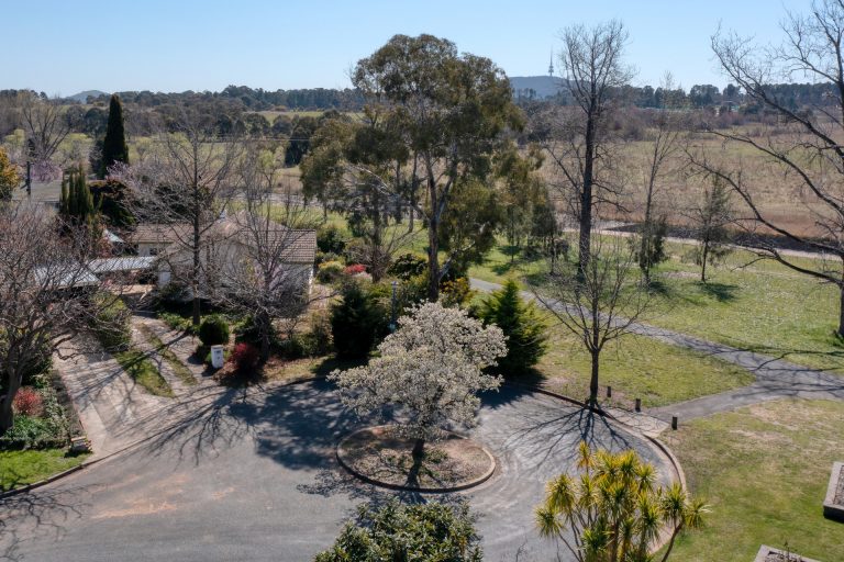 Preview image for Buy