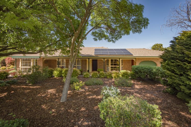 Preview image for Buy