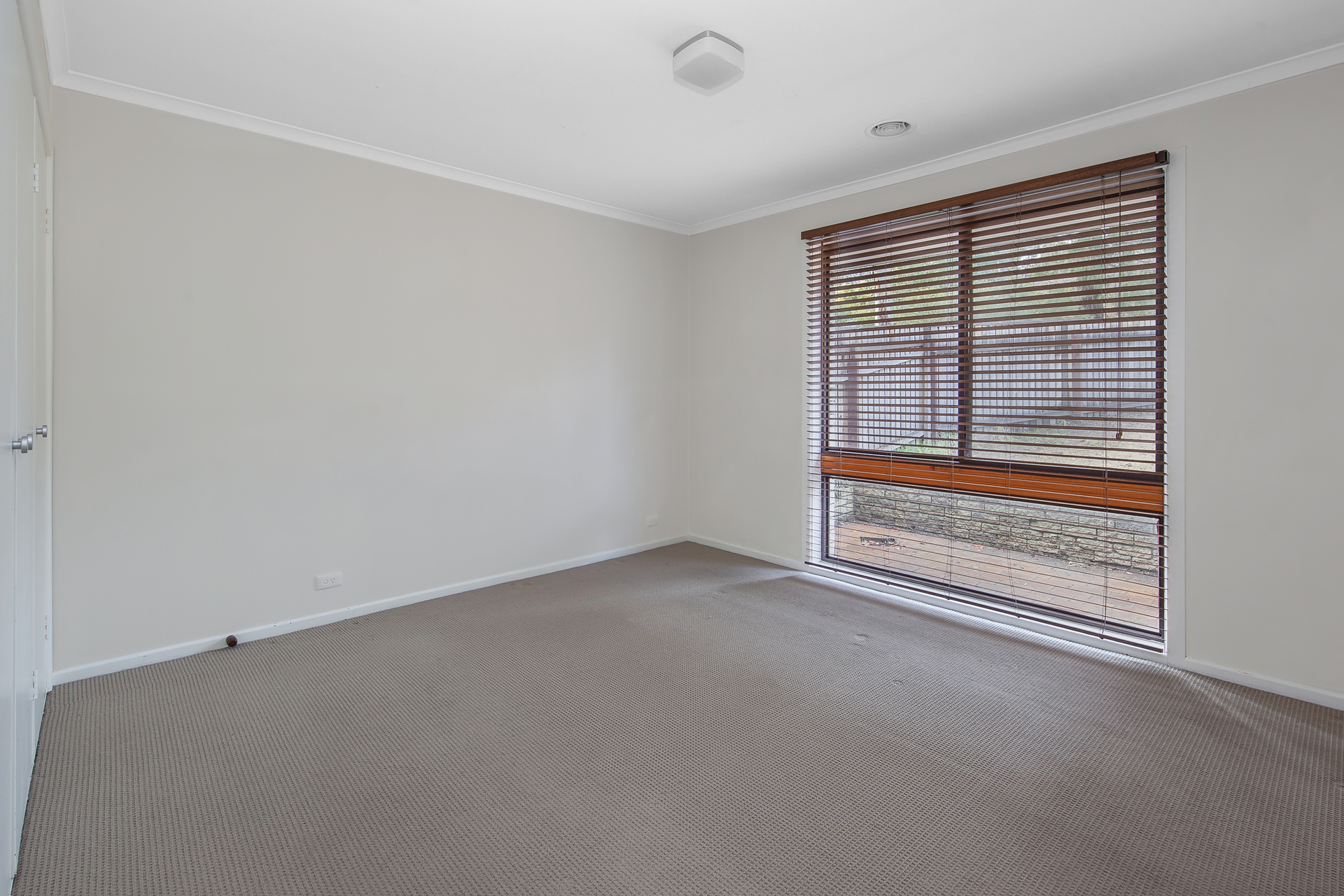 74 Dexter Street, Cook ACT 2614, Cook - Thumbnail 8