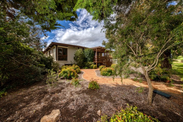 Preview image for Buy