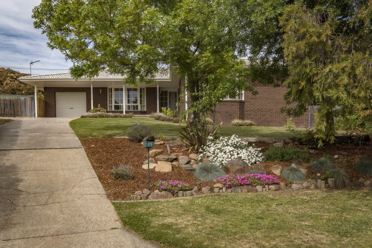 Preview image for Buy