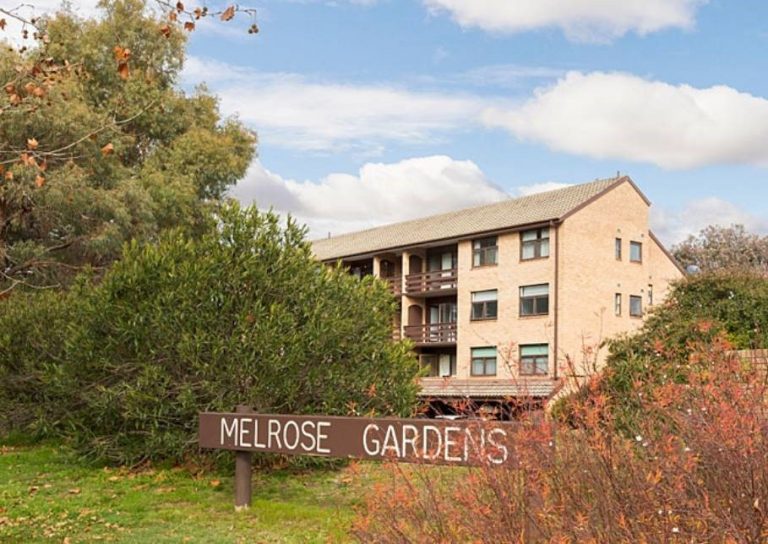 Preview image for Buy