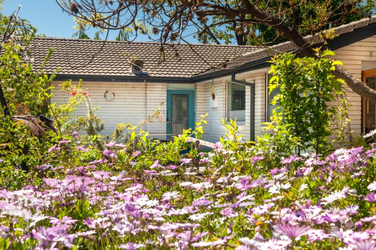 Preview image for Buy