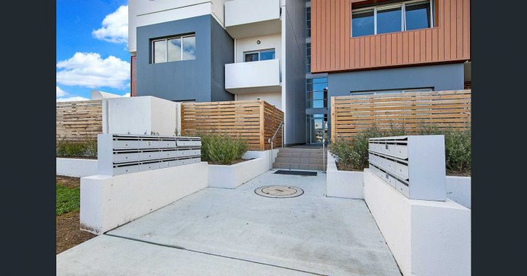 Preview image for Buy