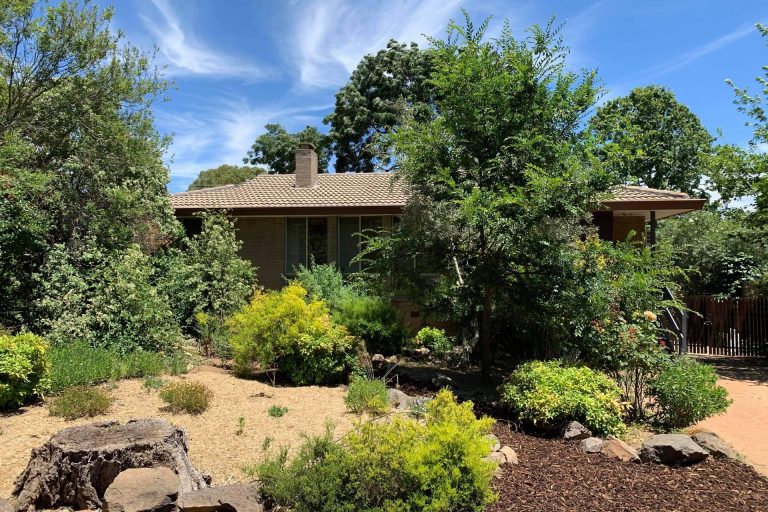 Preview image for Buy