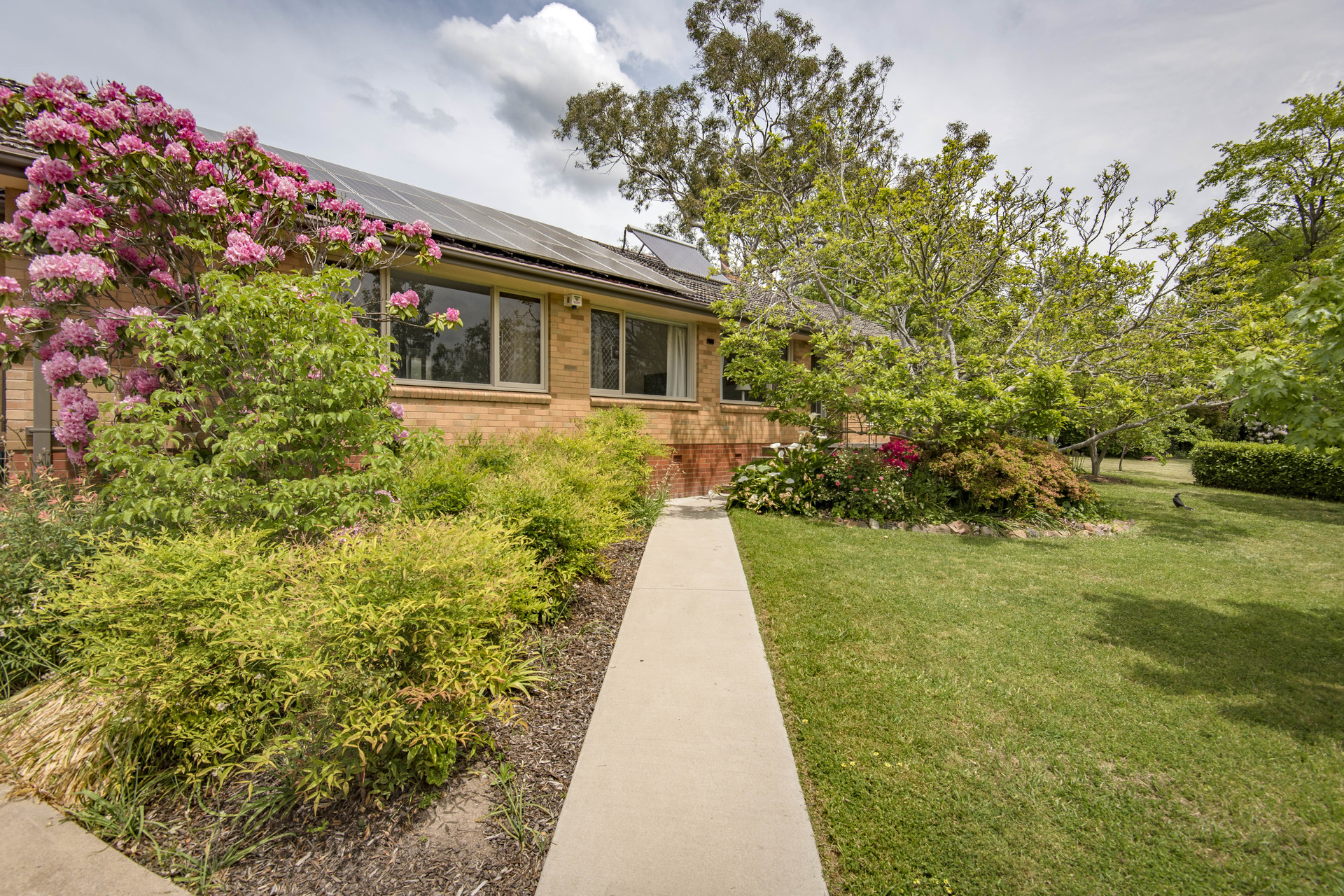9 Arnhem Place, Red Hill ACT 2603, Red Hill - Thumbnail 3