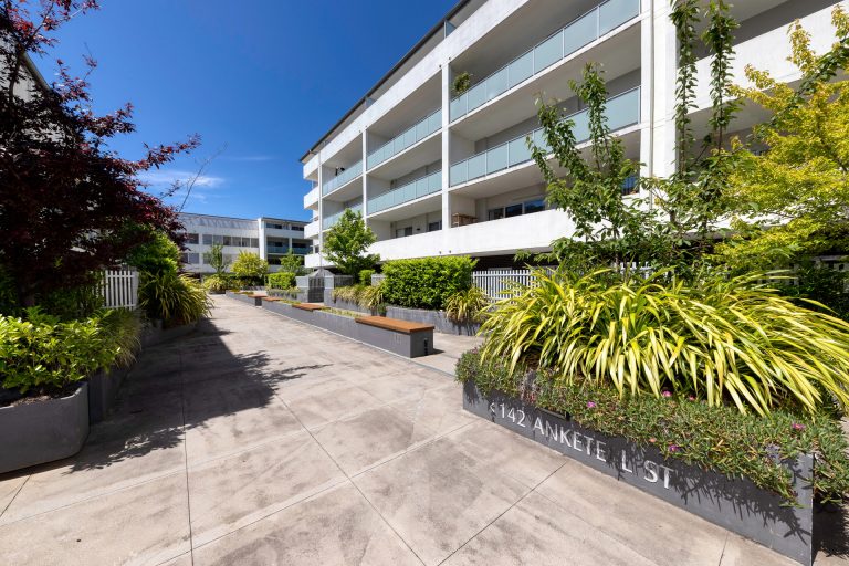 Preview image for Buy