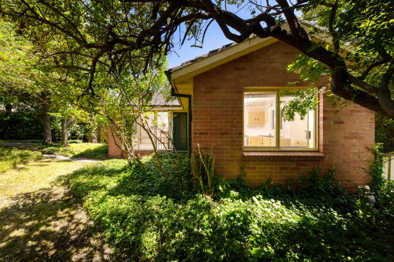 Preview image for Buy