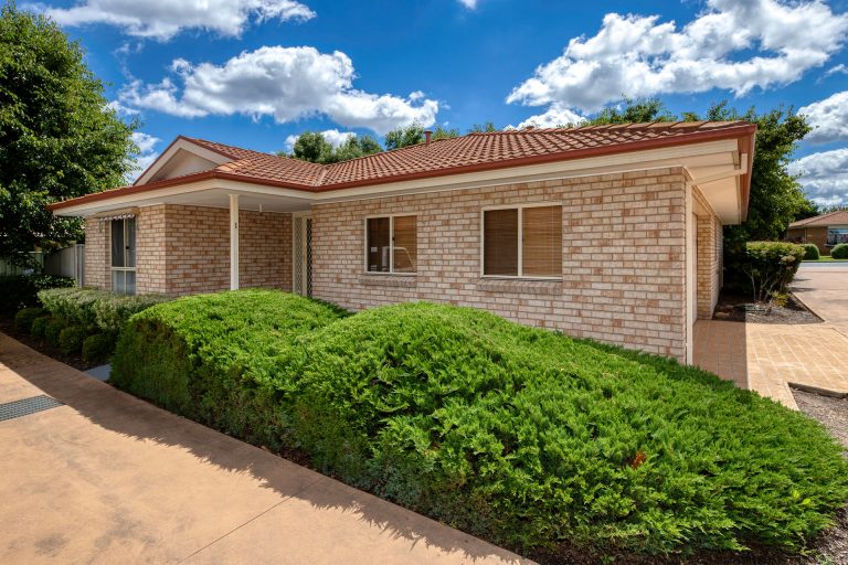 Preview image for Buy