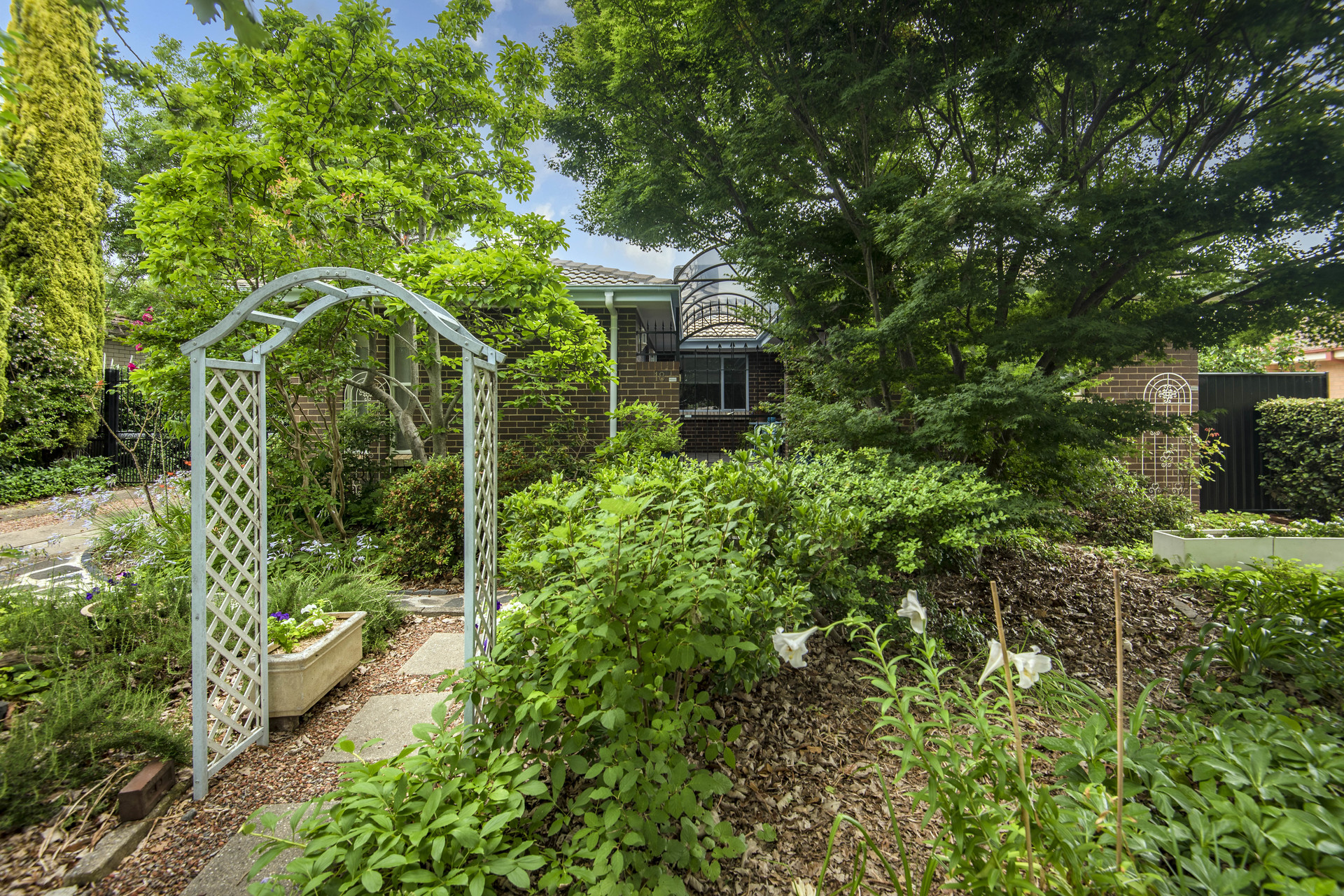 18 Mccubbin Street, Weston ACT 2611, Weston - Thumbnail 2