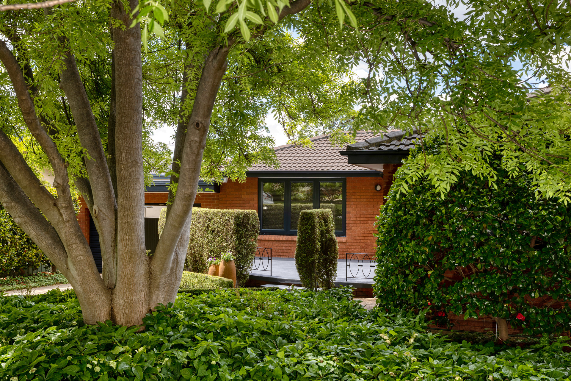 12 Cockburn Street, Curtin ACT 2605, Curtin - Thumbnail 2