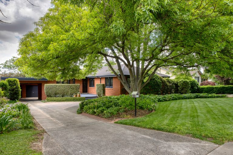 Preview image for Buy