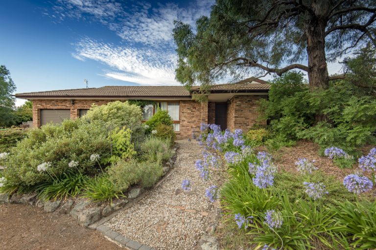 Preview image for Buy