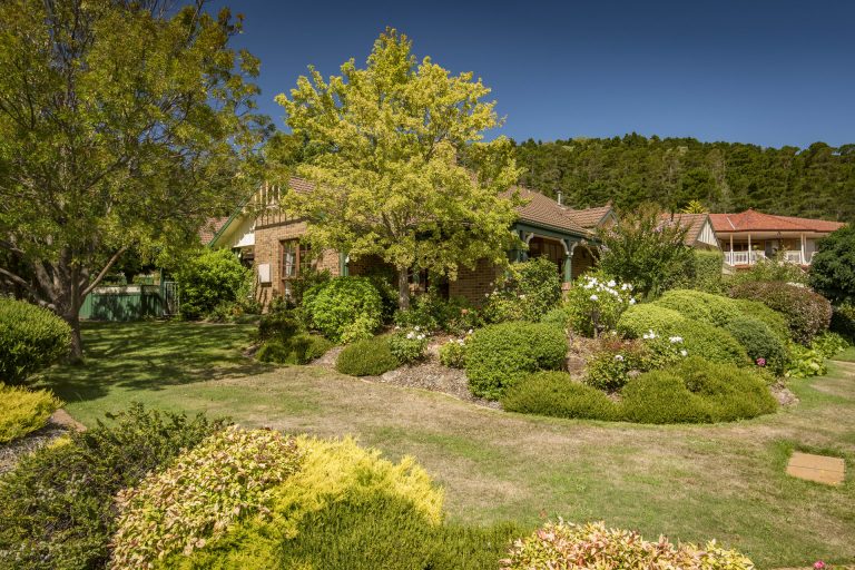 Preview image for Buy