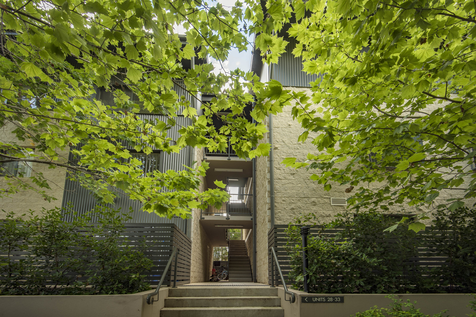 33/120 Thynne Street, Bruce ACT 2617, Bruce - Thumbnail 3
