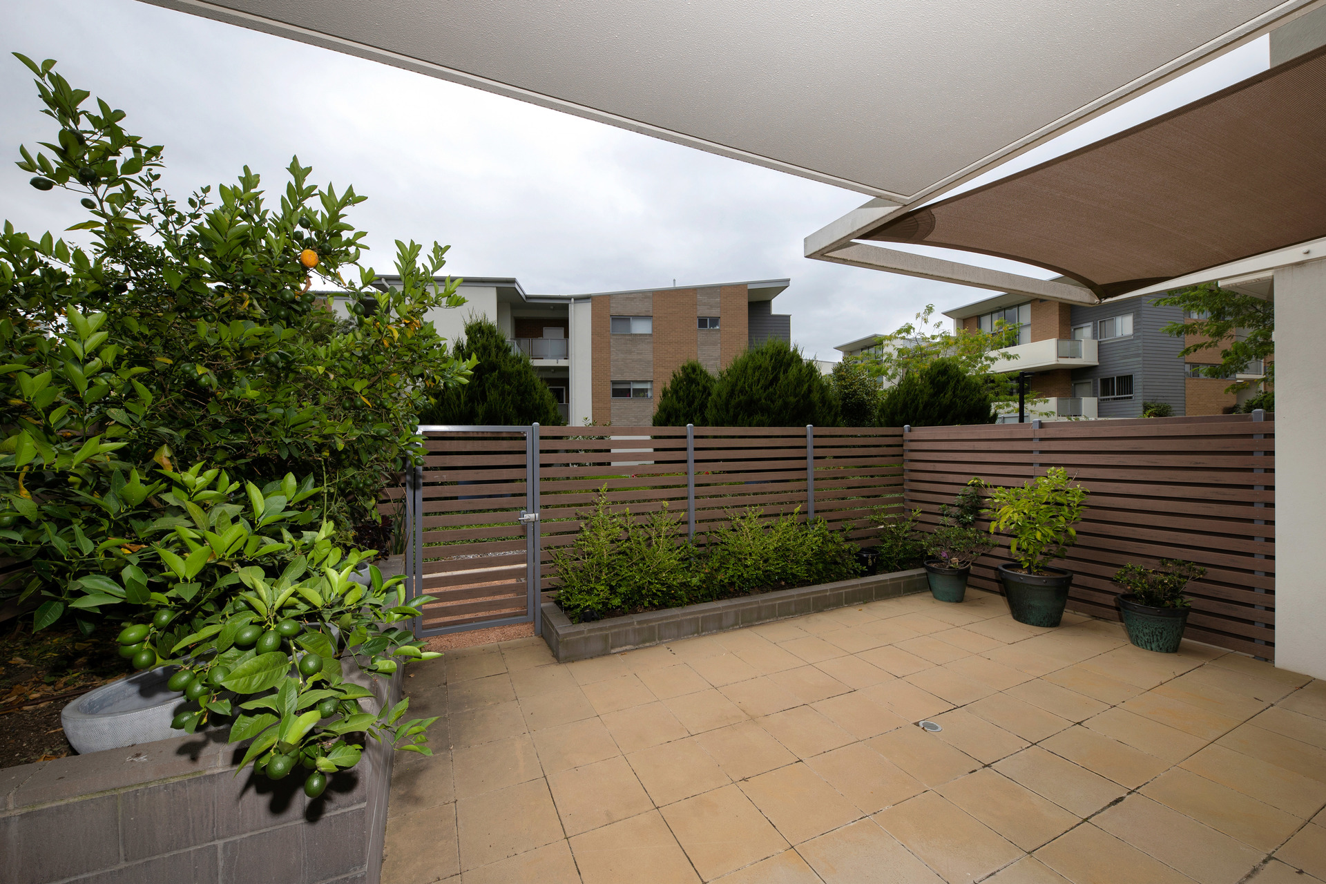 97/116 Easty Street, Phillip ACT 2606, Phillip - Thumbnail 6