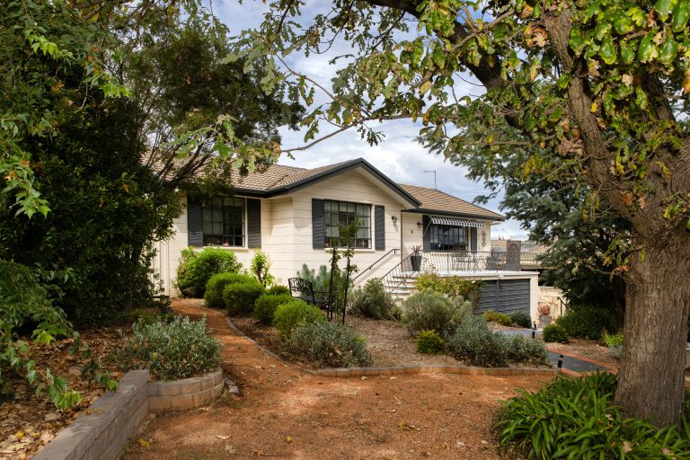 Preview image for Buy