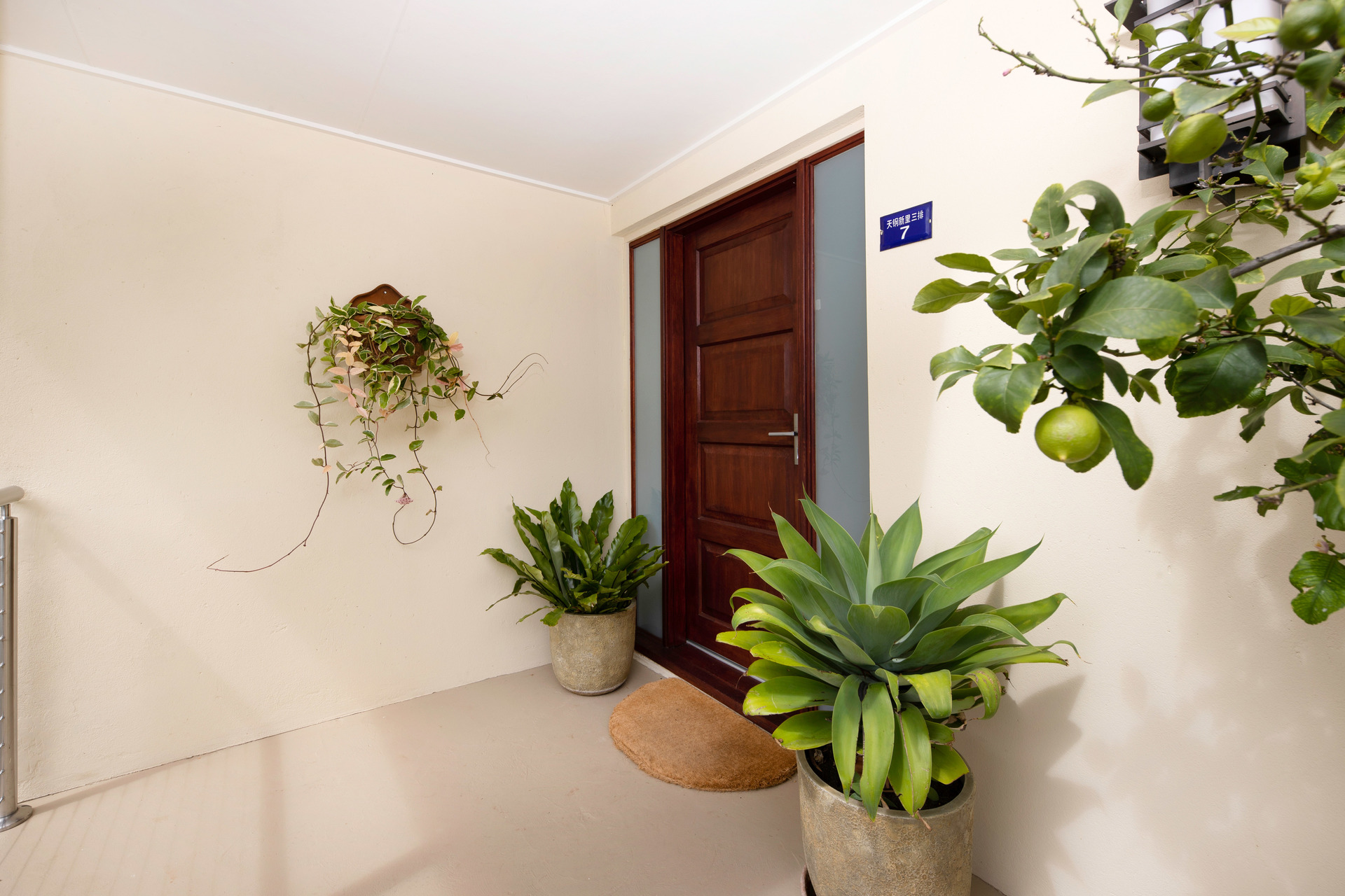 7 Cockburn Street, Curtin ACT 2605, Curtin - Thumbnail 4