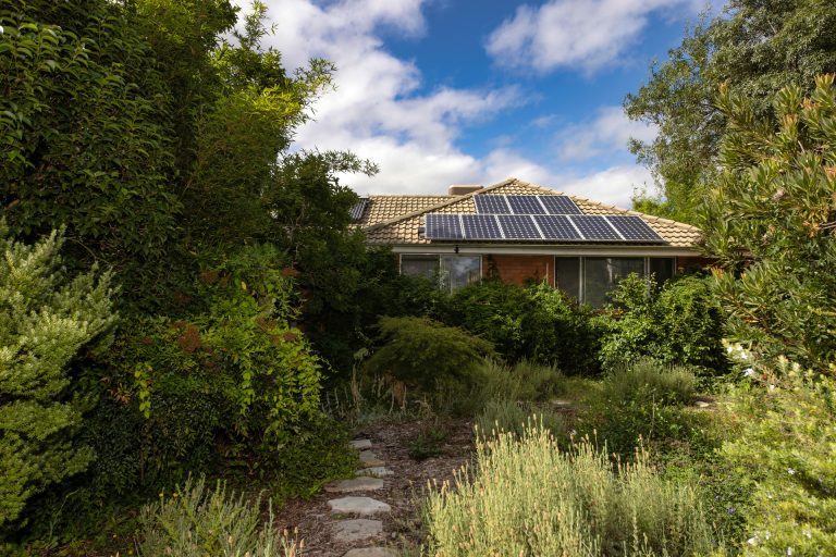 Preview image for Buy