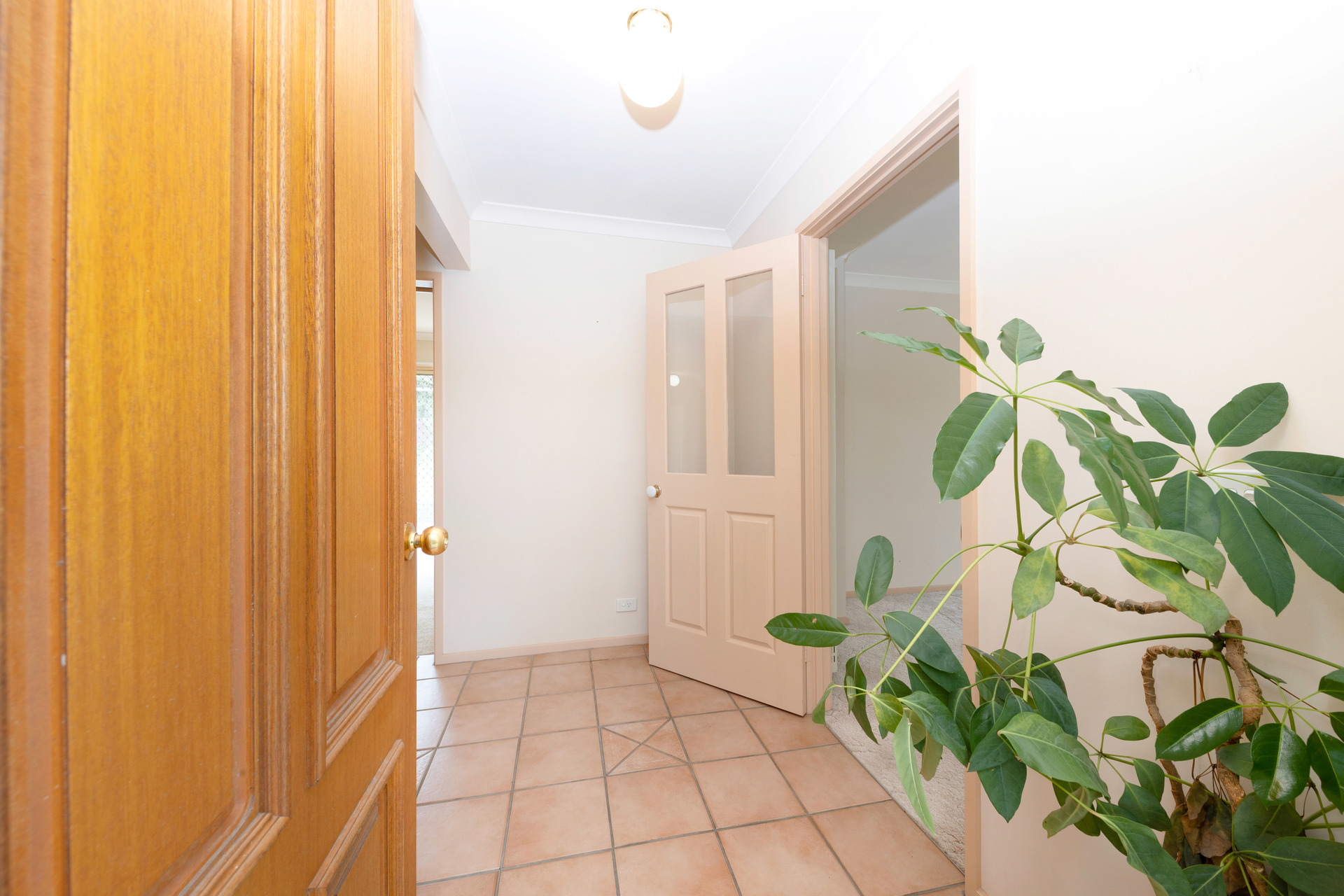 5 Crawford Crescent, Flynn ACT 2615, Flynn - Thumbnail 4