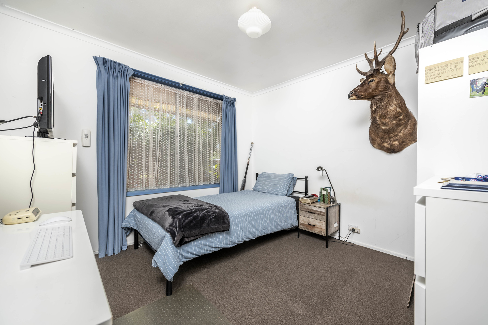 38 MacAlister Crescent, Curtin ACT 2605, Curtin - Thumbnail 8
