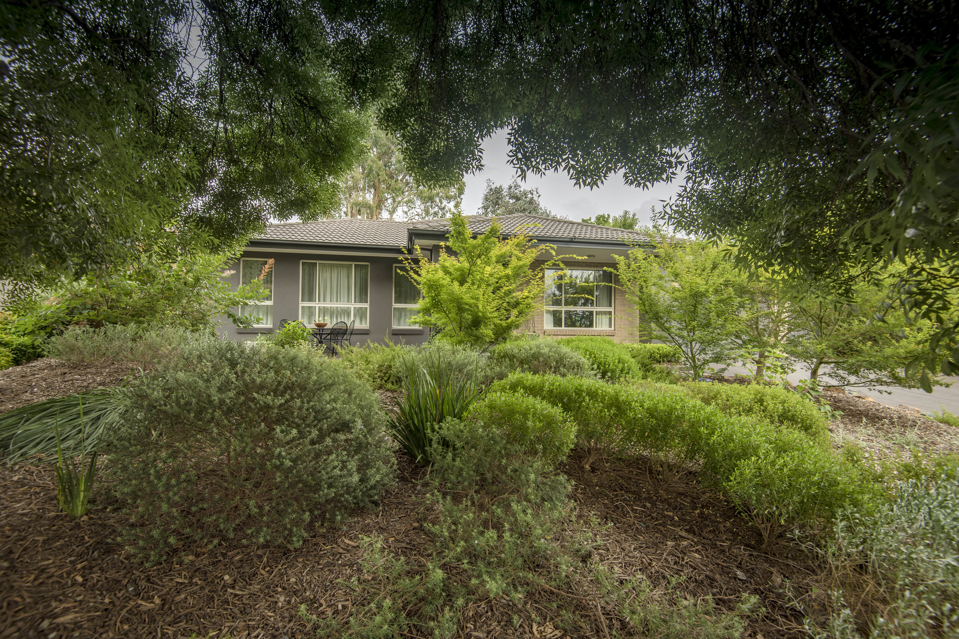 36 Cockburn Street, Curtin ACT 2605, Curtin - Thumbnail 2