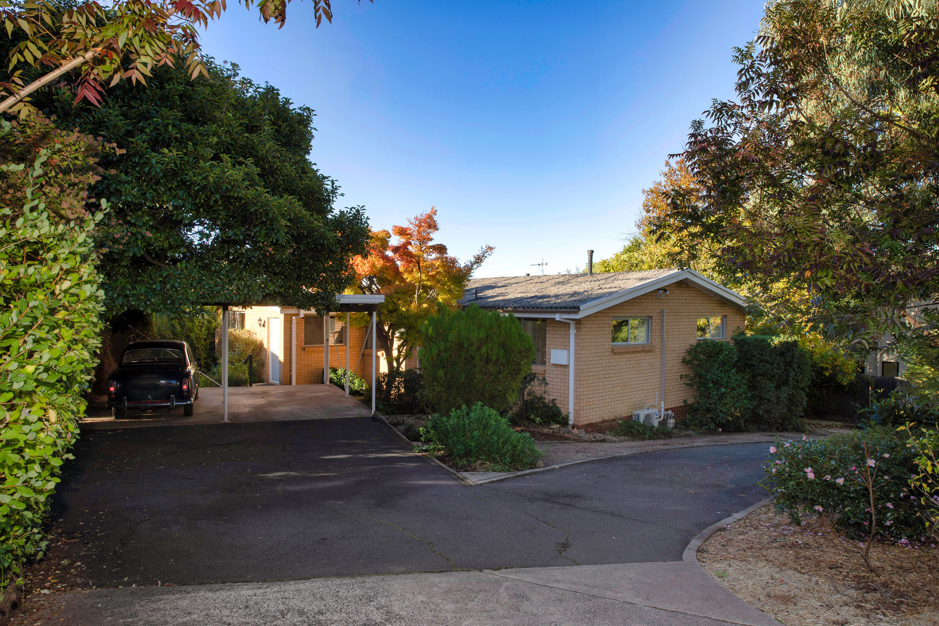 49 McCormack Street, Curtin ACT 2605, Curtin - Thumbnail 2