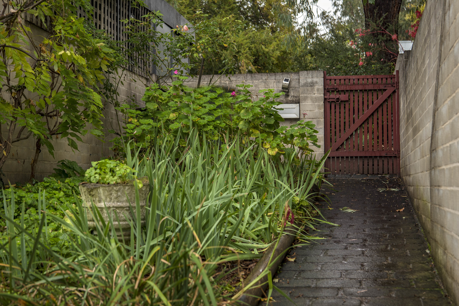 51 MacLachlan Street, Holder ACT 2611, Holder - Thumbnail 3