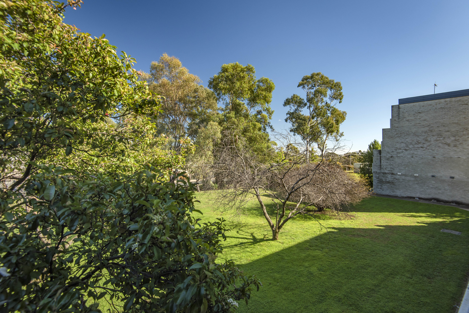 12/6 Wilkins Street, Mawson ACT 2607, Mawson - Thumbnail 6
