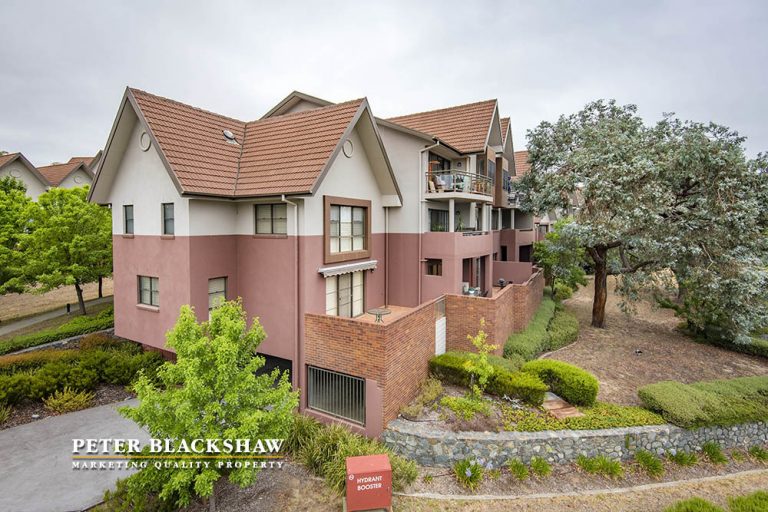 Preview image for Buy