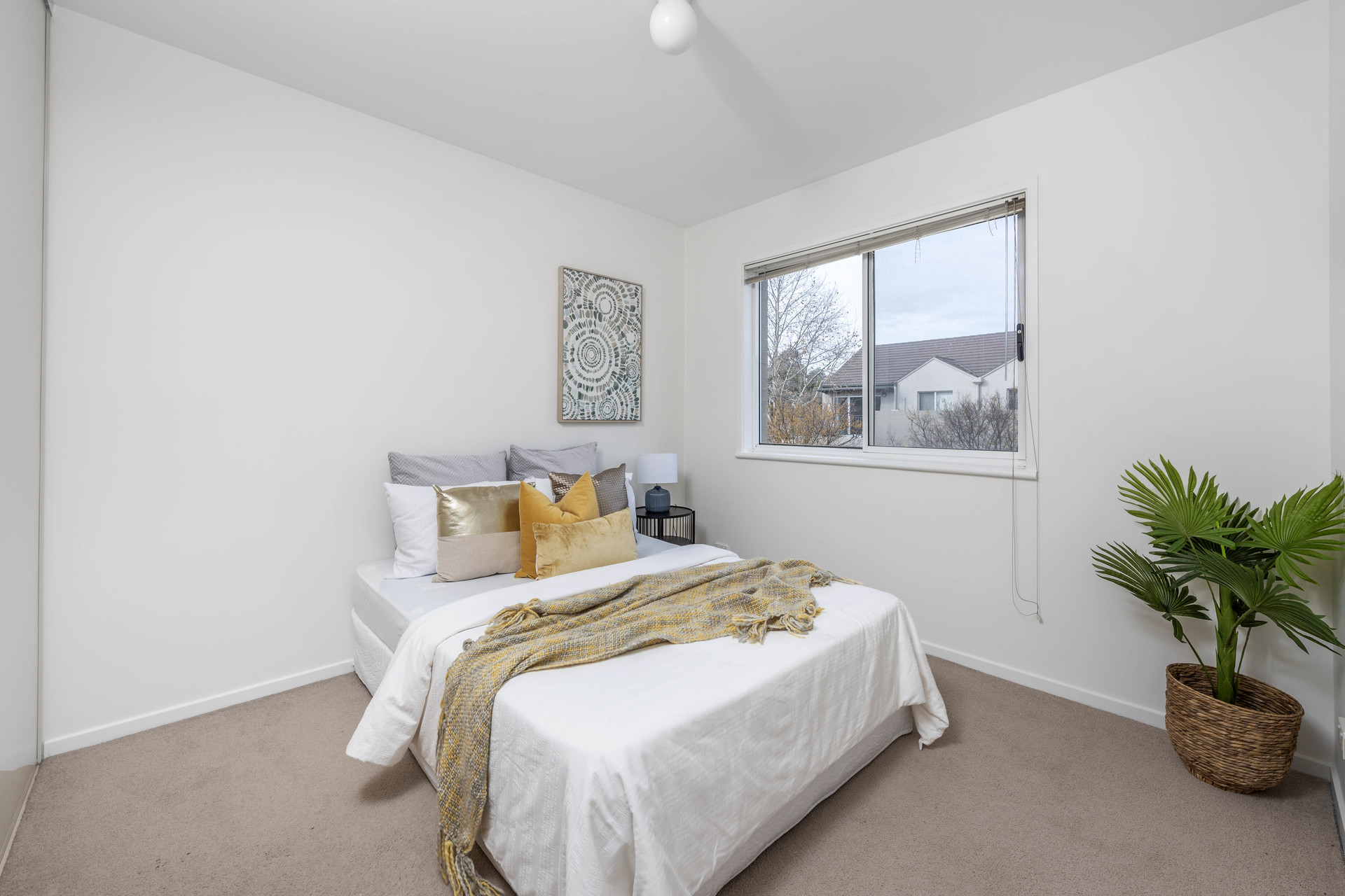 48/30 Bluebell Street, O'connor ACT 2602, O'Connor - Thumbnail 6
