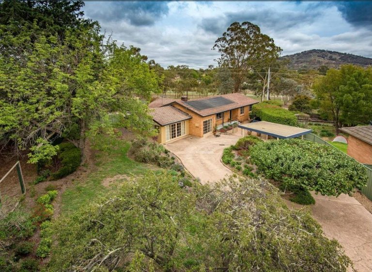 Preview image for Buy