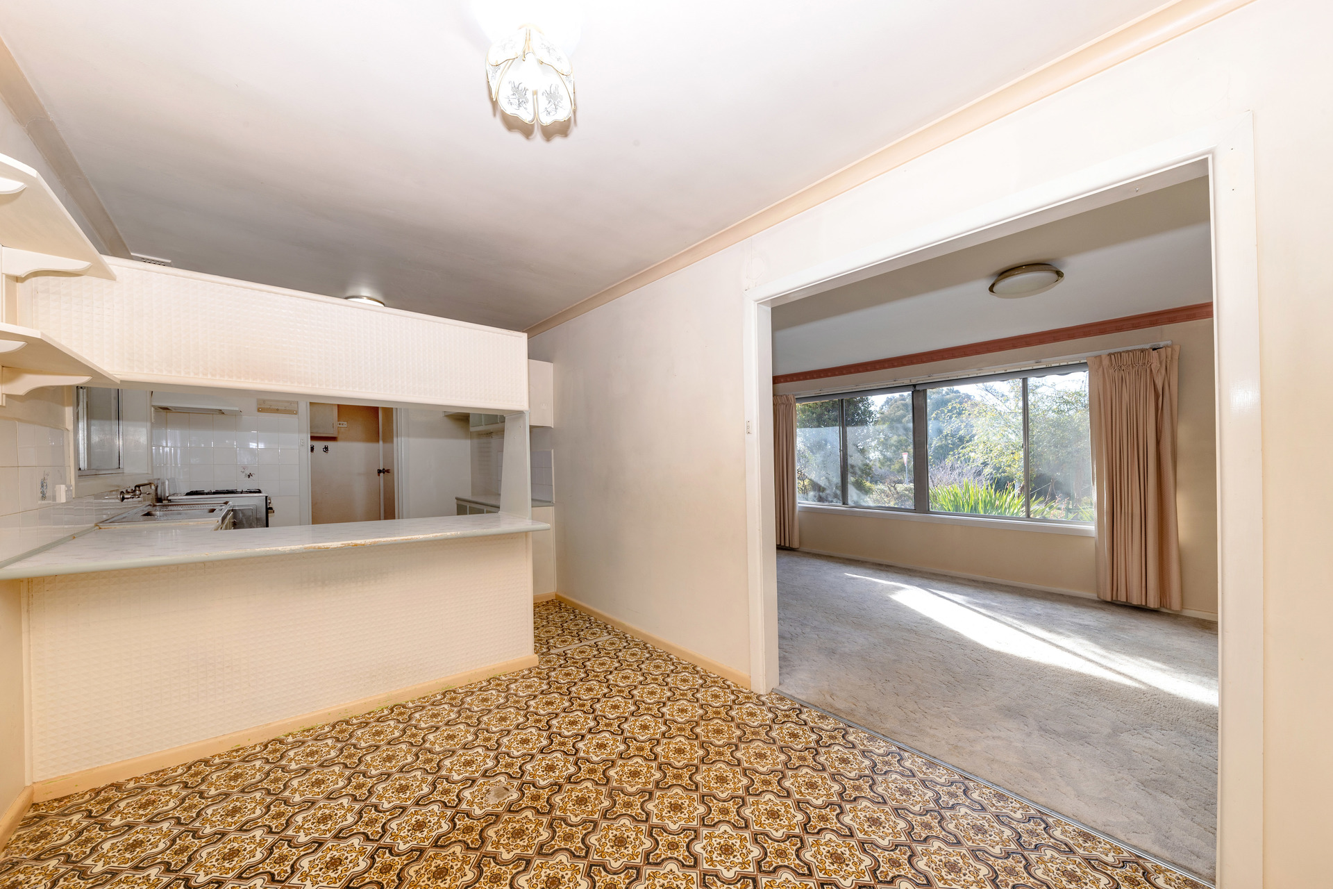 97 Carruthers Street, Curtin ACT 2605, Curtin - Thumbnail 6