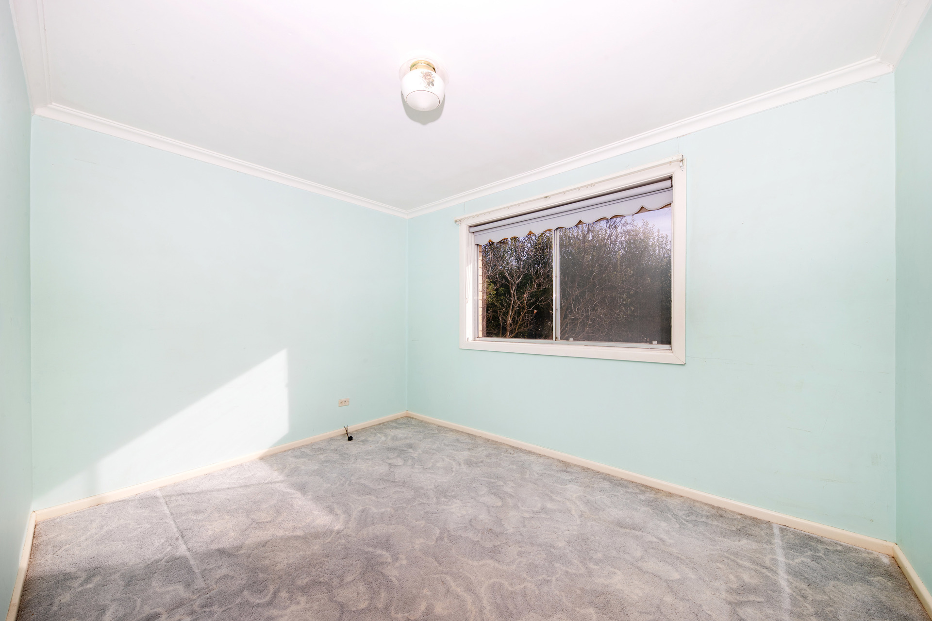 97 Carruthers Street, Curtin ACT 2605, Curtin - Thumbnail 8