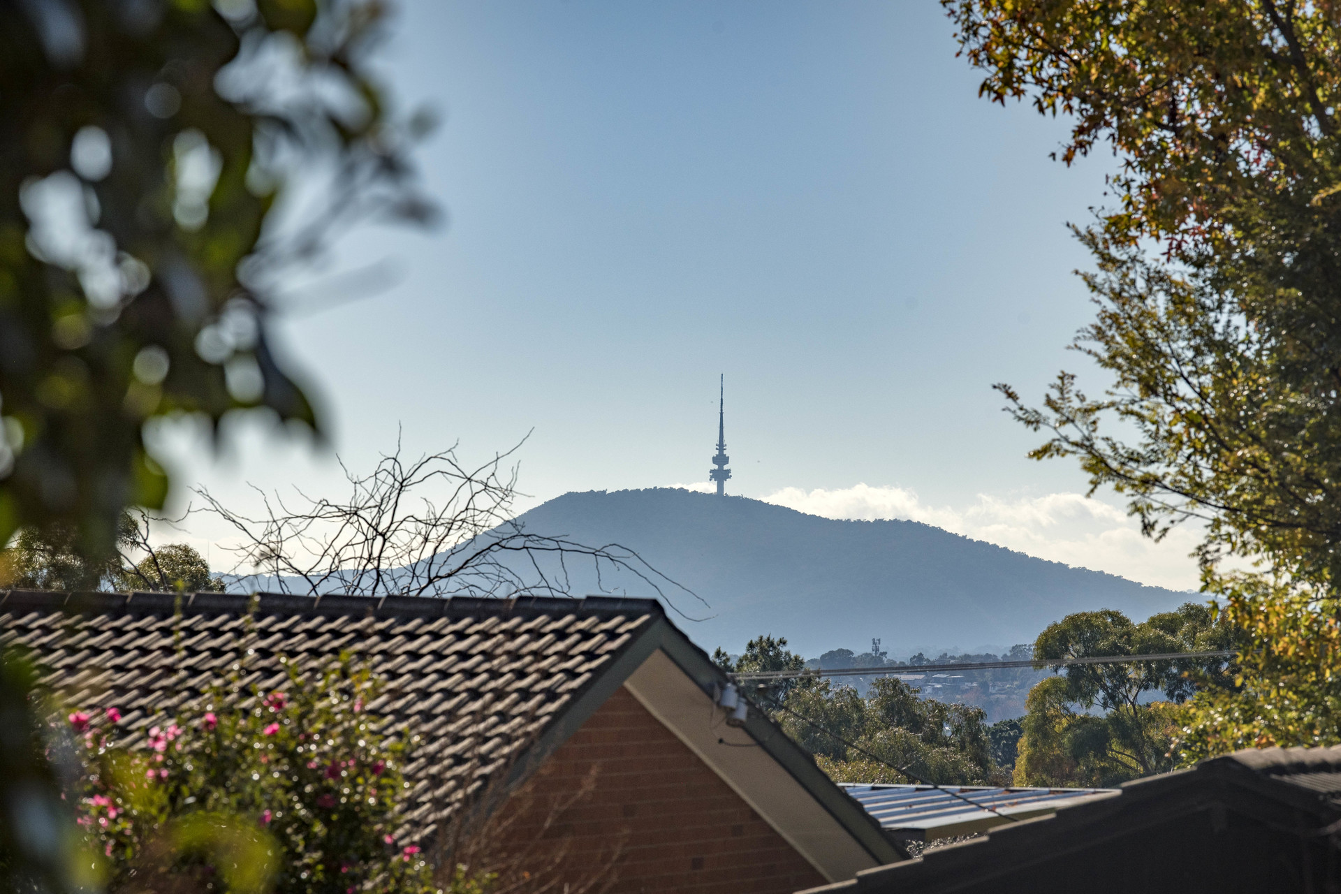 5 Faulkner Place, Chapman ACT 2611, Chapman - Thumbnail 3