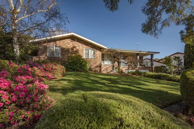 Preview image for Buy